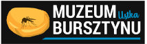 muzeum_bursztynu_ustka_logo
